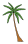 Coconut palm tree