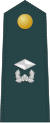 Junior lieutenant