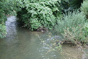 El Mehaigne al límit de Wanze i de Statte