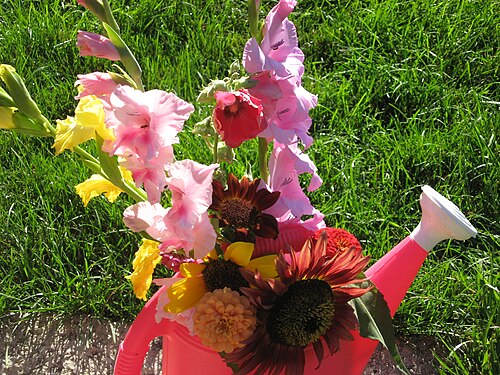 An old watering can being used as a vase to hold flowers.