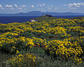 Île Anacapa.