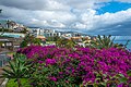 Promenade in southwest Funchal