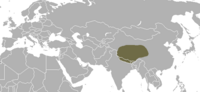 Tibet tulkisining tarqalishi