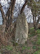 Menhir de Pra-Bourdin.