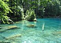 Élevage biologique de truites (salmoniculture), Blausee (Berne), Suisse