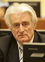 Miniatura para Radovan Karadžić