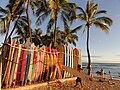 Planxes de surf a Waikiki