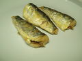 Sardines on a plate