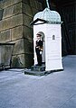 An Imperial Guard sentry at the Seimon Ishibashi bridge outside the Imperial Palace, Tokyo