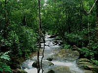 Kallar, Trivandrum