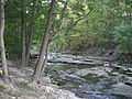 Red Hill Creek, King's Forest Park