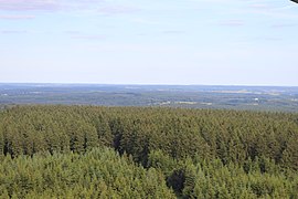 Vue du panorama vers l'est depuis le haut de la tour