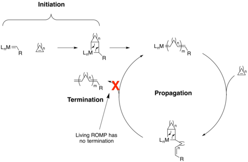 The catalytic cycle of a living ring-opening metathesis polymerization with a metal catalyst. Note that the ring can be any size, but should contain some significant ring strain on the alkene.