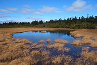 田代山湿原の弘法沼