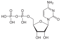 Cytidindiphosphat (CDP)