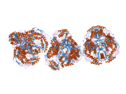 1zum: Human Mitochondrial Aldehyde Dehydrogenase Asian Variant, ALDH2*2, Apo Form