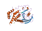 2hc1: Engineered catalytic domain of protein tyrosine phosphatase HPTPbeta.