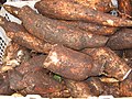 Cassava