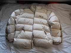 A down jacket