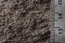 A macro photo of the Lacustrine parent material on monolith 7-04 from the UBC Soil Monolith Collection. The soil is grey-ish brown with consistently textured horizontal layers. The right side of the image has a 3cm scale bar.