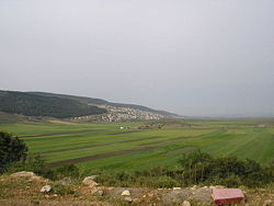 Bu'eine Nujeidat, 2005