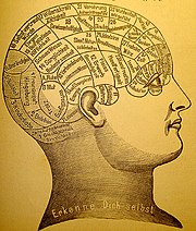 Phrenological diagram of brain functions