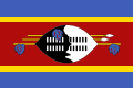 Image illustrative de l’article Swaziland aux Jeux olympiques d'été de 2016