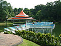 MacRitchie Reservoir