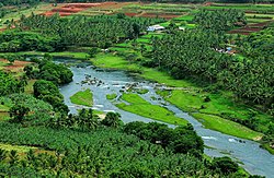 Skyline of Attappadi