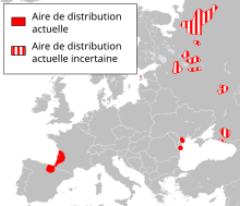 Carte de l'Europe avec les aires de répartition du Vison d'Europe.