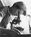 Rosalind Franklin  