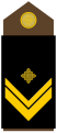 Nadnarednik (Croatian Army)[14]