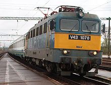 Hungarian-szili-v43.jpg