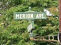 Merion