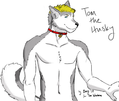 Tom The Husky