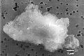 Image 29Smooth chondrite interplanetary dust particle. (from Cosmic dust)