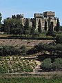 Chateauneuf-du-Pape - letni papeški dvorec