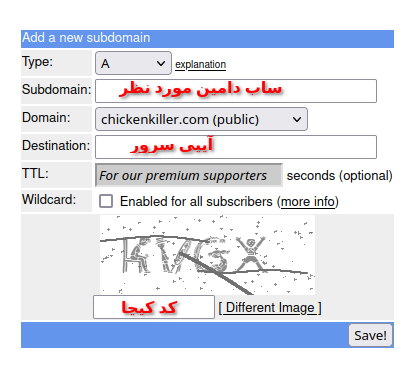 DNS record registration