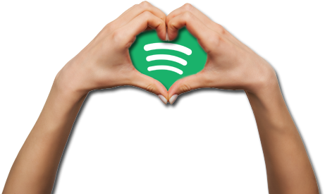 Spotify Gesture Controller logo