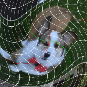 An image of prof. Philip the Corgi, but the whole image is swirled and twisted using a mathematical transformation. Overlaying grid lines are also twisted, showing the non-linearity of the transformation.