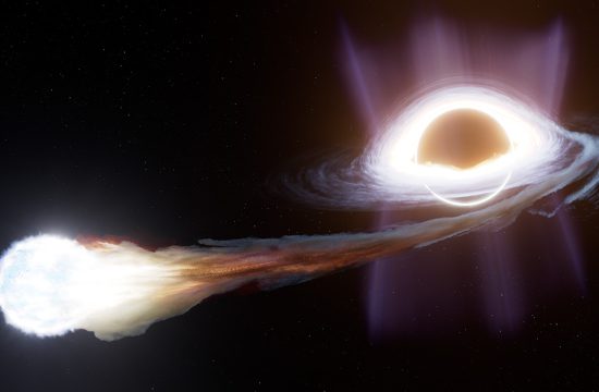 An illustration of a star being torn apart by a black hole. To the right of center, there is a black sphere representing a black hole, surrounded by many thick wisps of light. To the left of it, there is a fuzzy, bright white object representing a star. The star has a tail of gas coming off its right, which is brightest near the star, but becomes grayer further away. This tail flows into the black hole’s right side and swirls around the black hole in a horizontal disk. The disk is thicker toward its center and more diffuse farther away. Material in the disk also appears to wrap around the top of the black hole. Above and below the black hole, there are purple rays of light that extend upward and downward in two broad cones. This scene sits amid a black backdrop of space with many dim, white stars in the background.