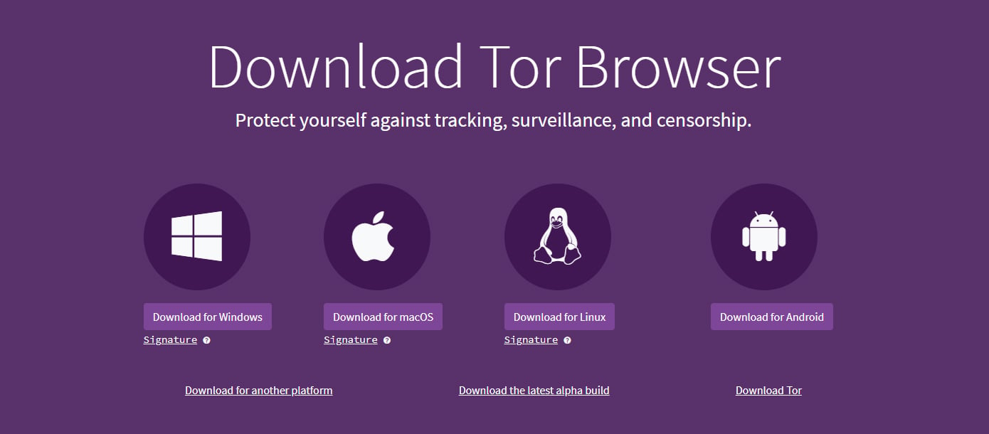 Available Tor Browser download options