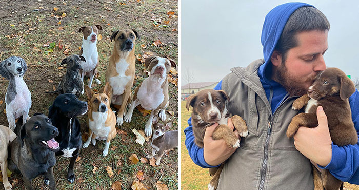 Rescuing 12 Dogs And Counting: This Couple Is Changing Lives One Rescue At A Time