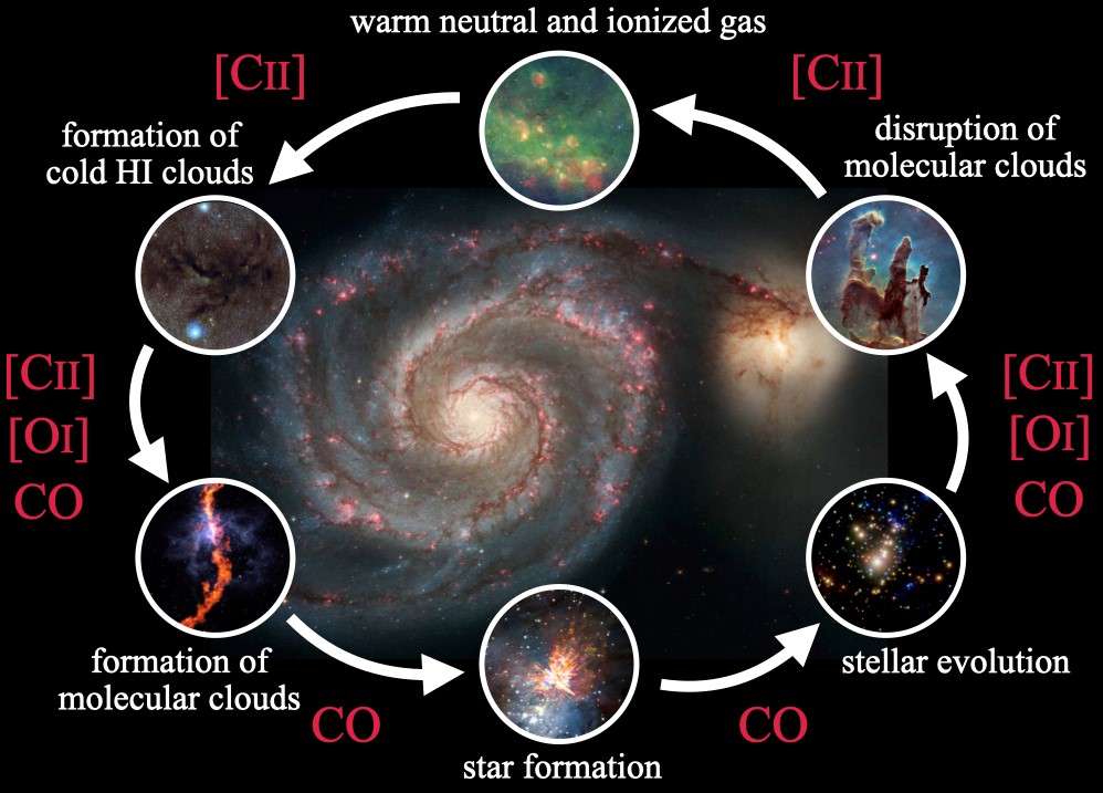 Star formation cycle in the interstellar medium (ISM).