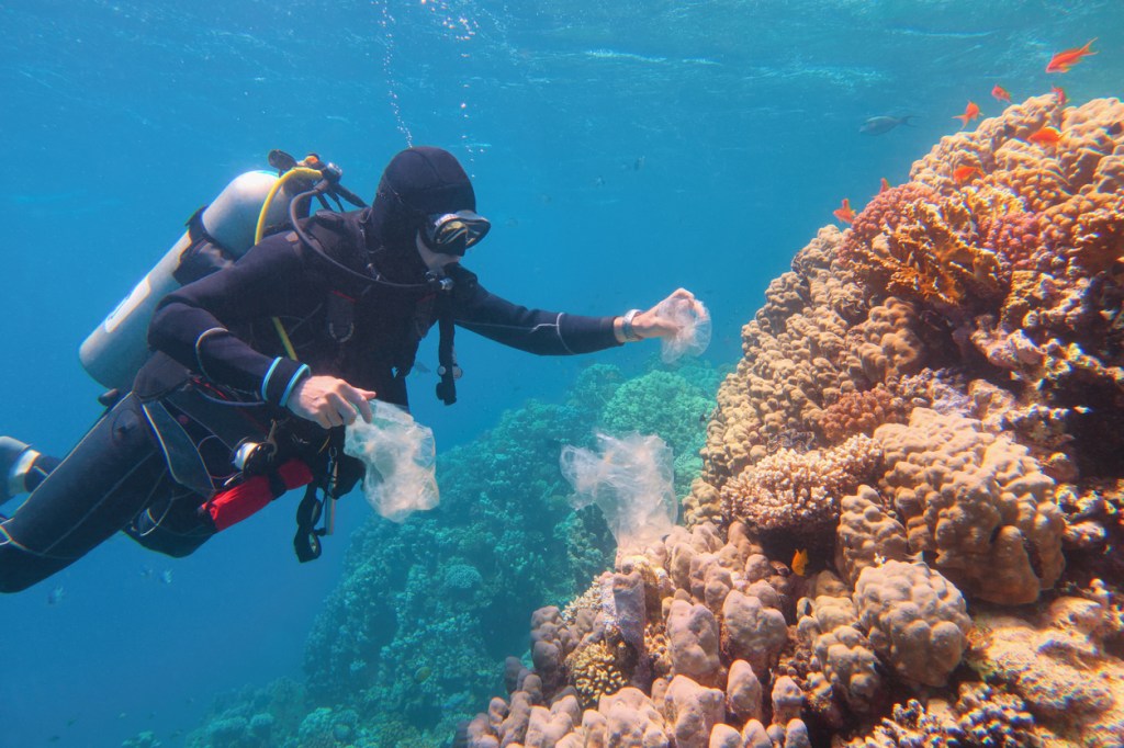 scuba diver under water removing plastic from coral reef