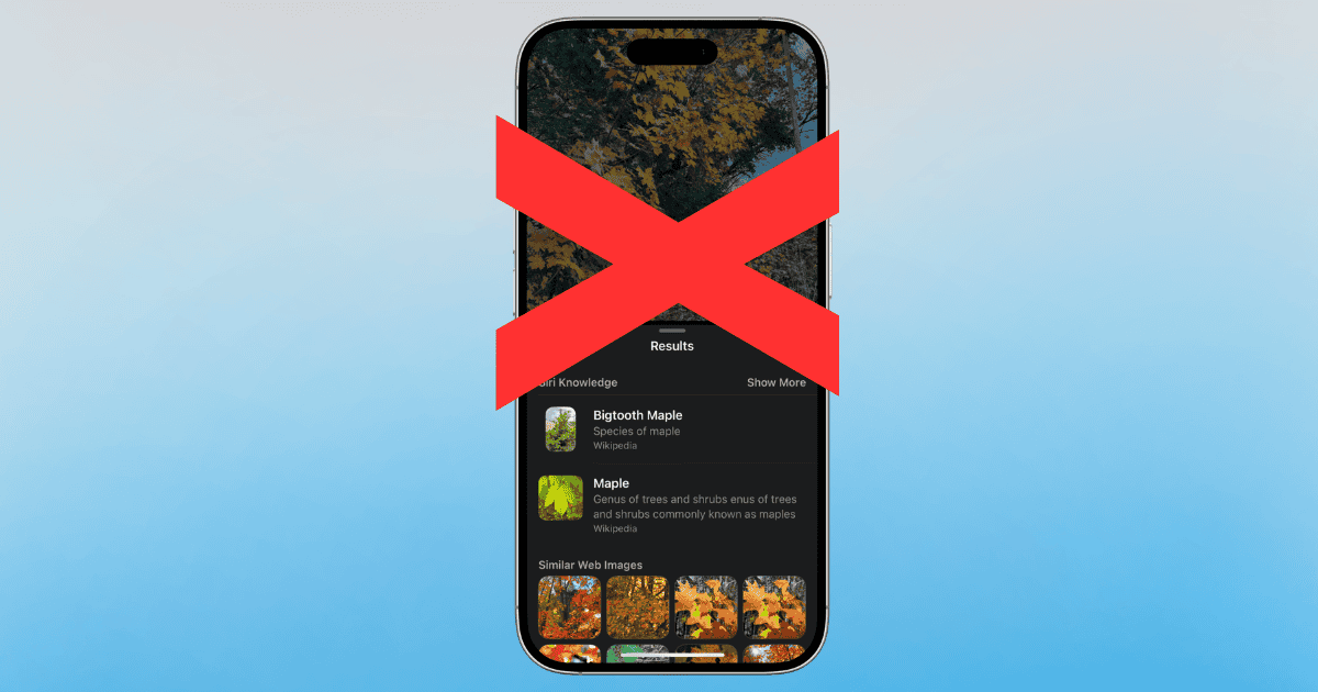 Can’t ID Plants in Photos on iOS 18/18.1? Quick Fixes