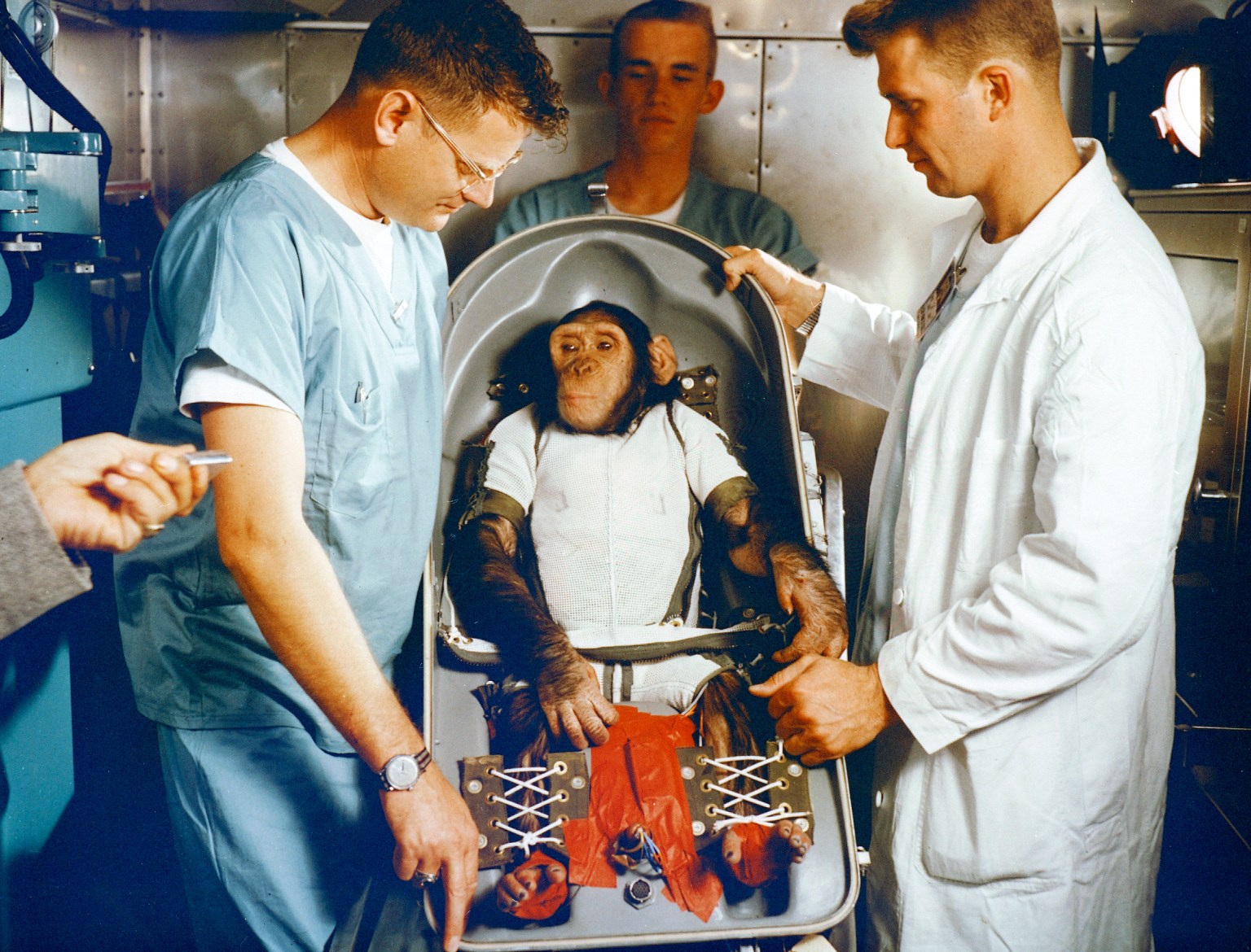 CHIMPANZEE "HAM" sits IN FLIGHT COUCH FOR MR-2 (MERCURY-REDSTONE2) surrounded by his trainers.