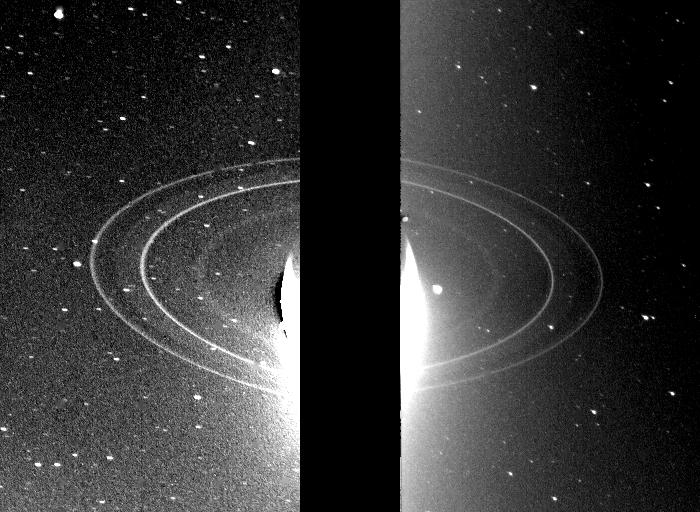 Neptune and rings