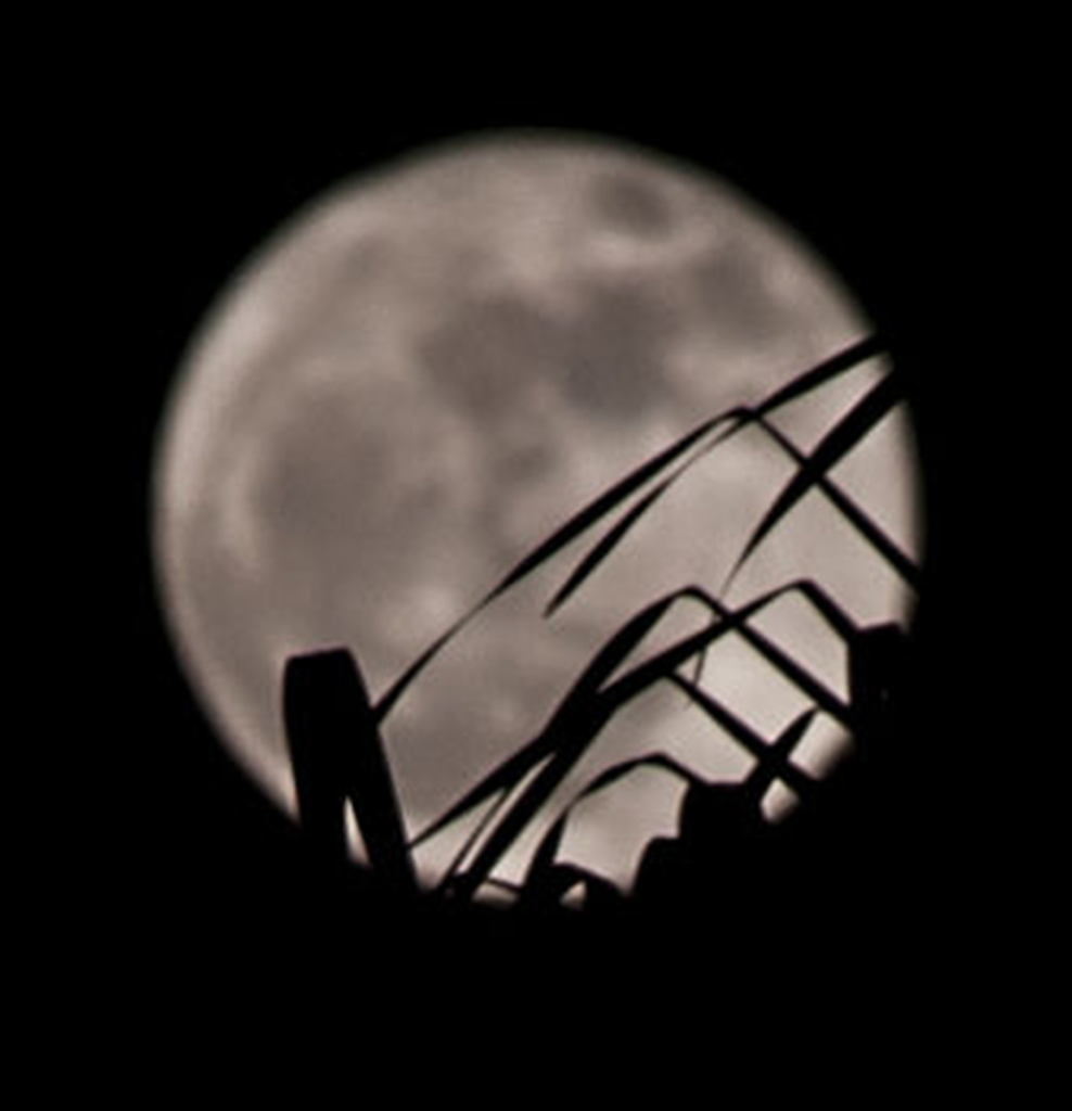 A full Moon seen through blades of grass