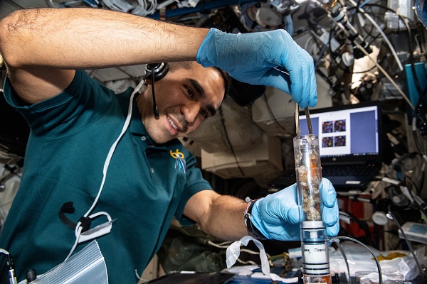 image of an astronaut prepping a plant experiment